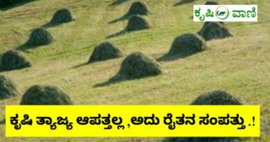 usage of agriculture wastage