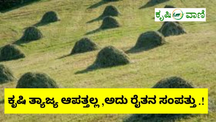 usage of agriculture wastage